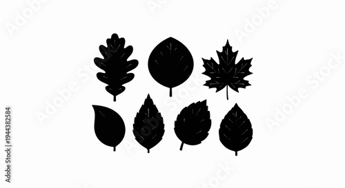 Collection of diverse black leaf silhouettes with subtle vein details