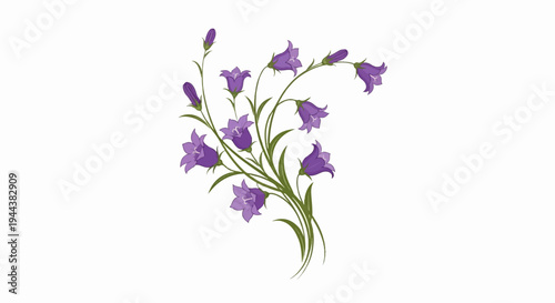Delicate cluster of purple bellflowers with green stems and leaves