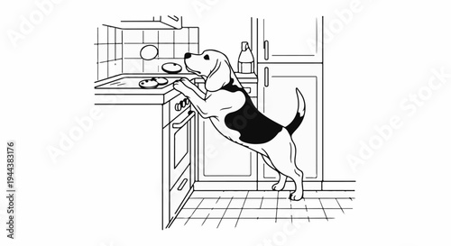 Dog reaching for cookies on kitchen counter