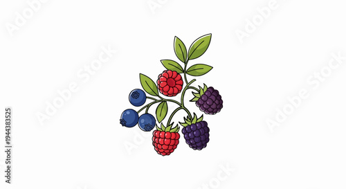 Colorful assortment of ripe berries and green leaves on a white background
