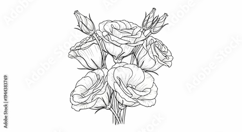 Delicate line art sketch of a bouquet of blooming flowers with buds