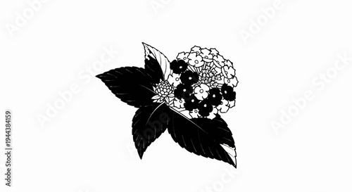 Detailed black and white illustration of blooming flowers and leaves