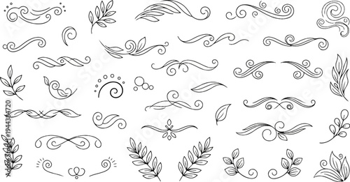 Collection of hand-drawn decorative flourishes and leaf motifs