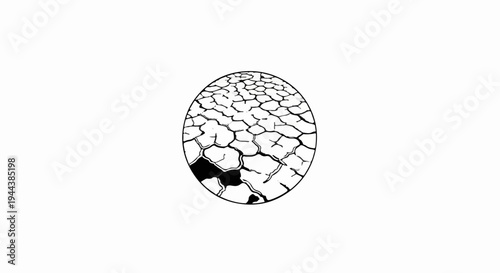 Cracked earth pattern within a circular frame, monochrome