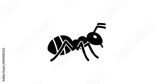Black Ant Silhouette on White Background, Insect Icon