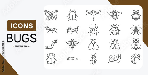 Black outline insect and bug icon set in minimalist line art style with snail, butterfly, ant, spider, bee and caterpillar pictograms.