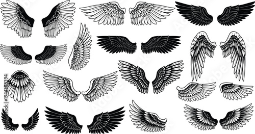 Angel wings collection set in black and white, detailed feather wing illustrations, vintage engraving style flying bird wings isolated on white background