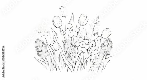 Delicate sketch of a spring flower arrangement featuring tulips, daffodils, and hyacinths