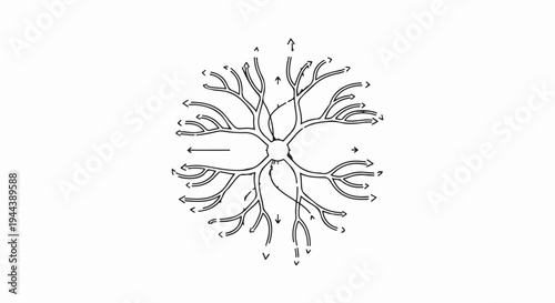 Diagram of a neuron, showing signal transmission pathways