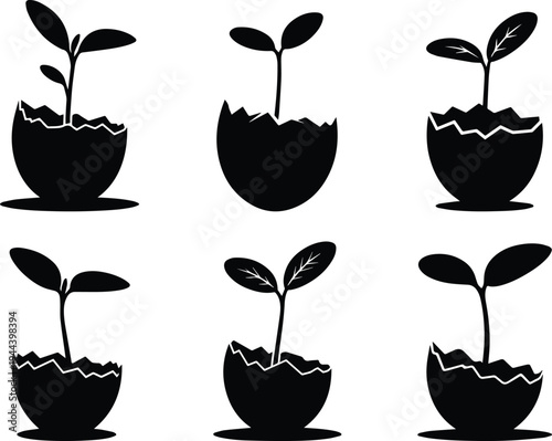 Set of Minimalist black seedling growing out of cracked eggshell silhouette vector icon