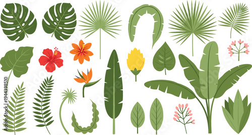 Cuadro en lienzo Tropical Jungle Leaves and Exotic Flowers Botanical Collection Featuring Monster