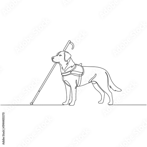 Minimalist continuous line drawing of a guide dog wearing a harness assisting with a walking cane representing accessibility and support for the blind.