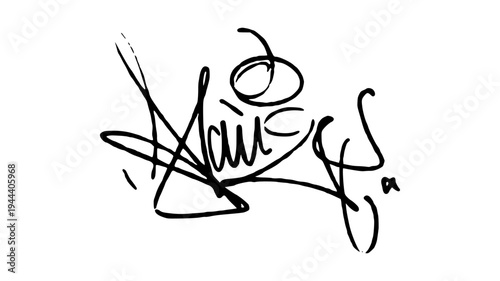 Minimalist Hand Drawn Signature Illustration with Clean Cursive Lines for Modern Identity and Personal Branding.