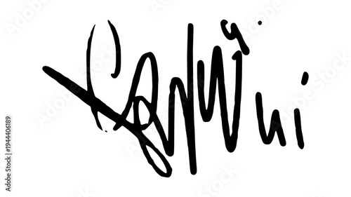 Artistic Hand Drawn Signature Illustration with Elegant Fluid Ink Strokes for Personal Identity and Creative Branding.