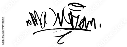 Modern Hand Drawn Signature Illustration with Fluid Cursive Lines for Professional Identity