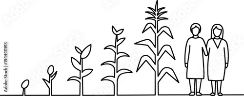 Corn Growth Stages and People Line Art Illustration