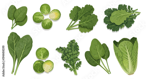 Assortment of Fresh Green Leafy Vegetables: Spinach, Kale, Brussels Sprouts, Romaine