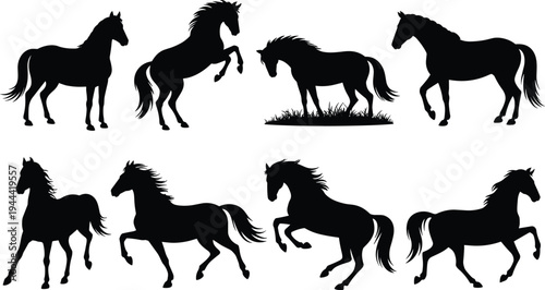 Black horse silhouettes set featuring stallions galloping jumping and rearing in various poses isolated on white background for equine vector graphic design projects
