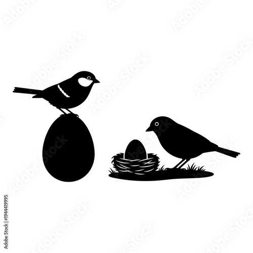 Black and white birds perched and nesting in a simple illustration Vector, illustration