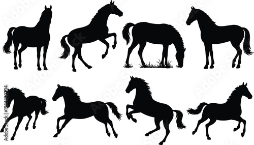 Collection of horse silhouettes in various poses including running, rearing, grazing and standing, isolated black vector animals set for design, wildlife illustration and equine themes