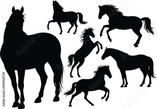 Collection of horse silhouettes featuring standing, running and rearing poses, black equine animal vector set isolated on white background for wildlife, farm and design use