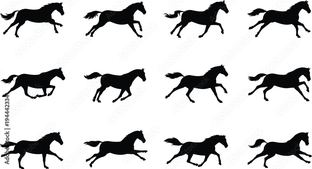 Fototapeta premium Running horse silhouettes collection with galloping equine poses, black animal vector set isolated on white background for wildlife, farm, logo and design projects