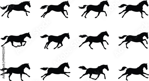 Running horse silhouettes collection with galloping equine poses, black animal vector set isolated on white background for wildlife, farm, logo and design projects