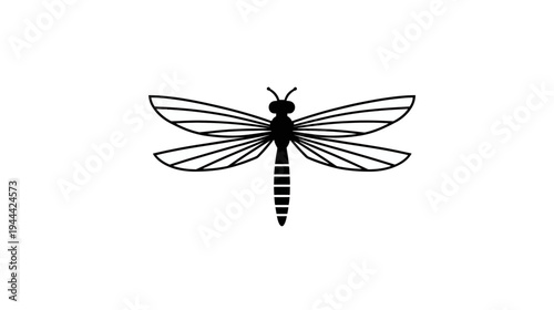 Black and white illustration of a dragonfly. Wings are outlined, segmented body, with small antennae