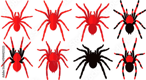 Collection of Colorful Spider Illustrations