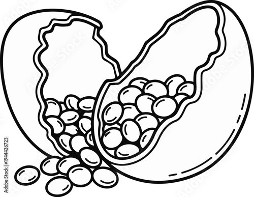 Line art depiction of a cracked open fruit with arils spilling out