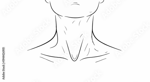 Line art drawing of the human neck and upper chest area