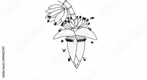 Line art illustration of bananas and bees on a white background
