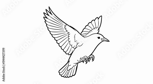 Line art of a bird in mid-flight with wings spread and tail feathers fanned