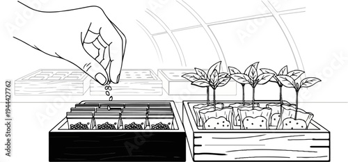 Hand planting seeds into small pouches, with sprouts nearby