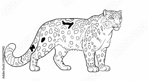 Line art of a spotted big cat standing, detailed outline of fur and spots