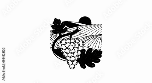 Grapes on vine against vineyard landscape with setting sun