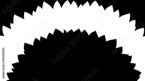 Black and white abstract with two connected arcs of pointed shapes