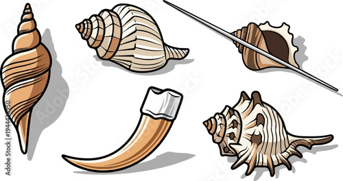 Group of stylized seashells and a pointed object on a white background
