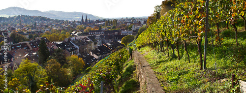Weinberge Freiburg