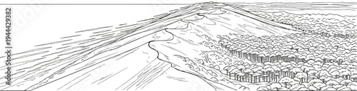 Expansive view of rolling sand dunes meeting a dense forest under a vast sky