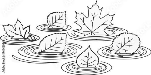 Falling leaves float on rippling water in a simple line art illustration