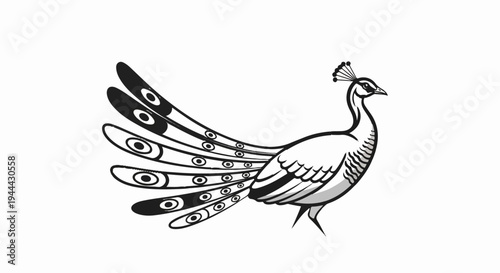 Elegant monochrome peacock with fanned tail and ornamental crest