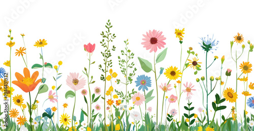 PNG Wildflowers meadow border nature spring art.