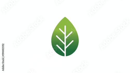 A simple green leaf illustration with a white vein structure