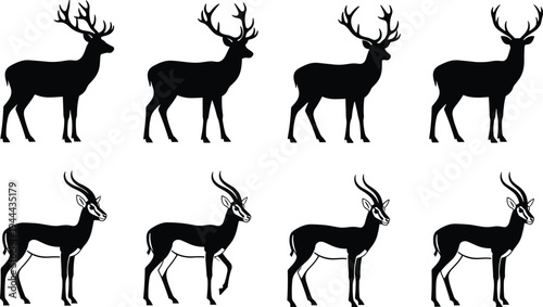 Silhouettes of antlered deer and horned antelope animals in side profile illustration, wildlife comparison vector set for educational, zoological, and nature-themed design projects
