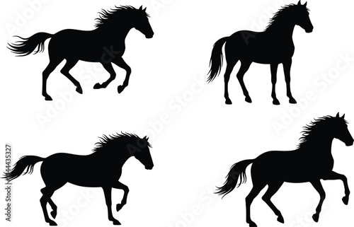 Set of dynamic horse silhouettes in various poses including galloping, trotting, walking, and standing, perfect for design, illustration, motion studies, and creative projects
