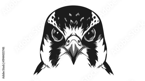 A fierce illustration of a bird of prey's face, staring intently with a bold black and white palette
