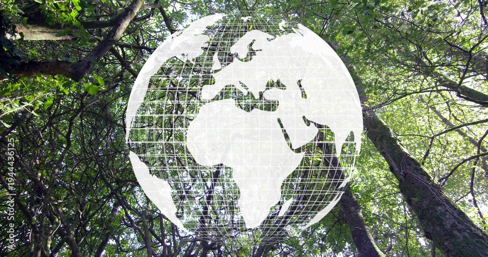 Naklejka premium Forest canopy showing semi-transparent white globe overlay with gridlines and continent silhouettes