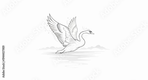 A graceful swan with outstretched wings takes flight over water