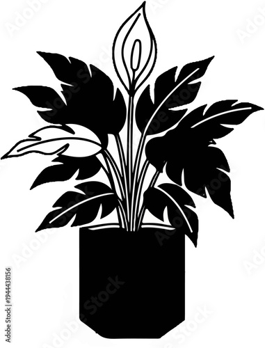 A stylized black and white illustration of a peace lily in a pot